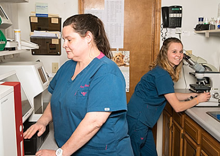 Lab Services